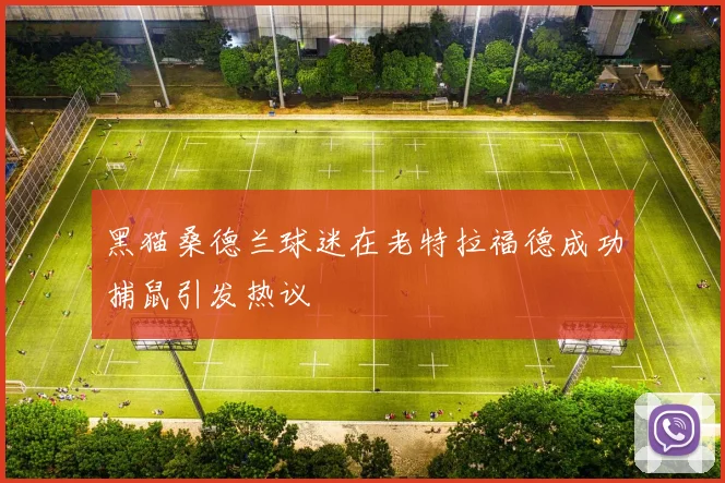 黑猫桑德兰球迷在老特拉福德成功捕鼠引发热议