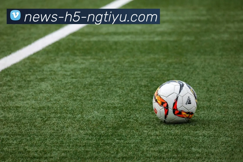 南宫体育APP 封面图