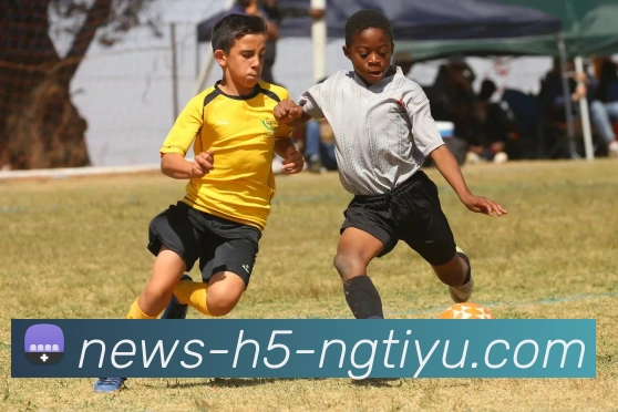 数据防护可视化